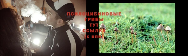эйфоретик Лихославль