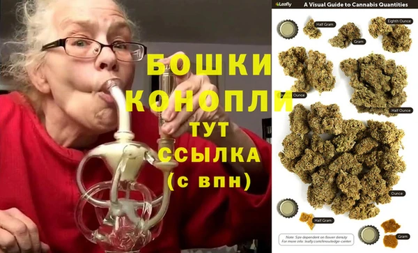 PSILOCYBIN Лабытнанги