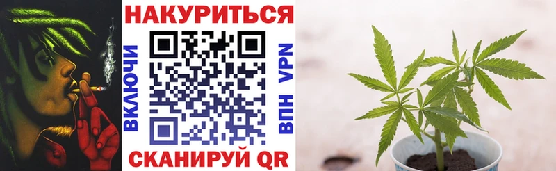 Каннабис SATIVA & INDICA  закладка  Магас 